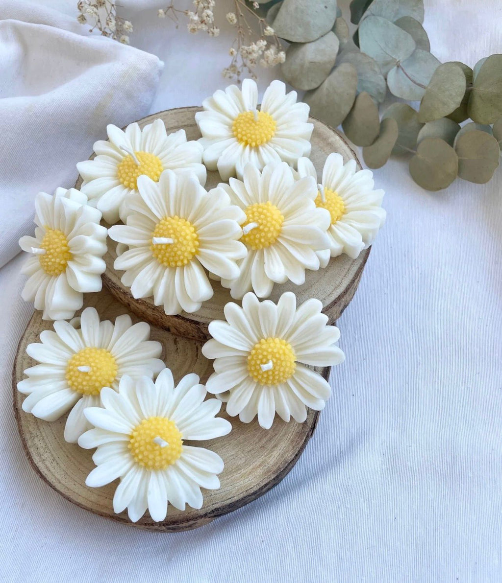 🕯️KIT "Margarita - 4 velas flotantes" "Caja de Luz"