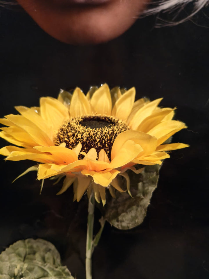 Layered resin wall art with 3D botanical elements — unique collector's piece from Spain